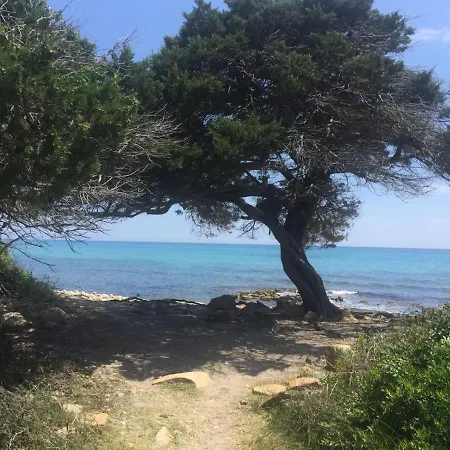 Panorama 1 سان تيودورو