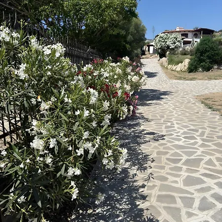 Вилла Panorama 1 *